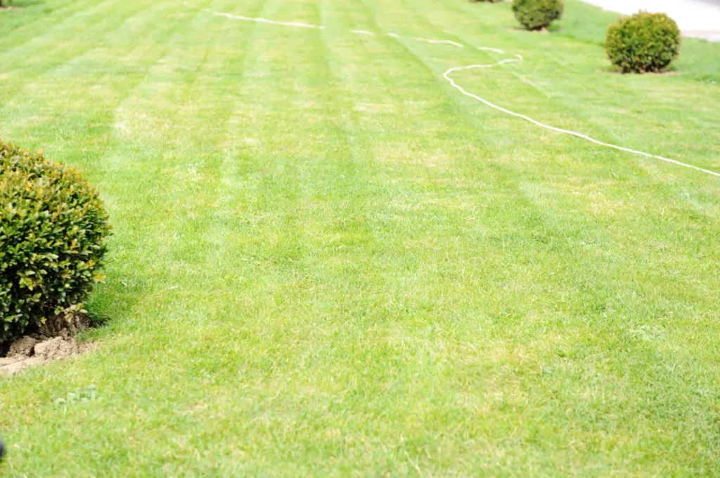 landscaping materials
