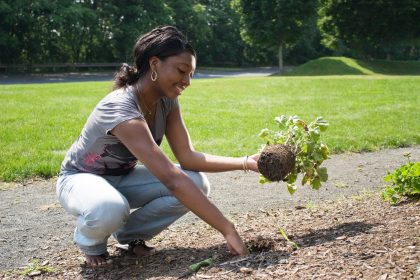 landscaping project materials